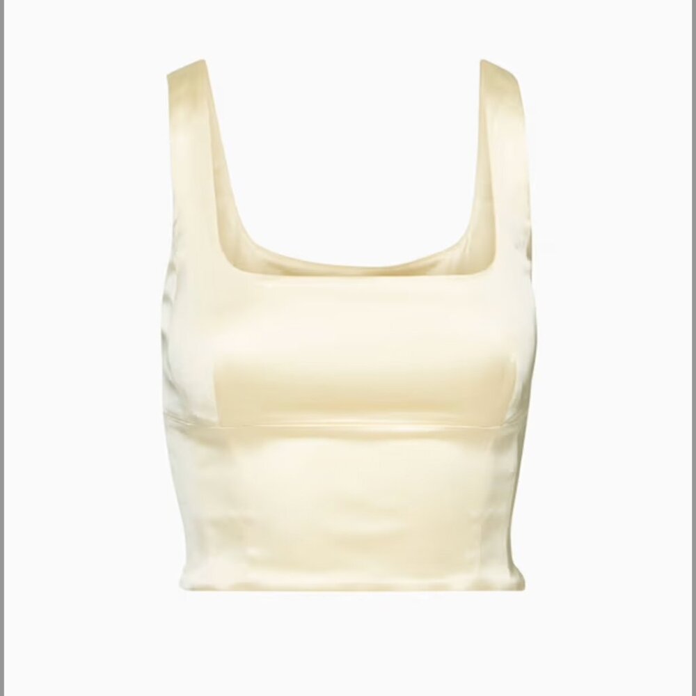 Aritzia Shine Bustier